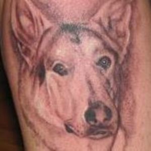 Meet your Posher, Sue